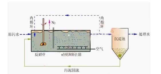 高濃度，高氨氮